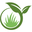 Santa Ana Lawn Clean Up