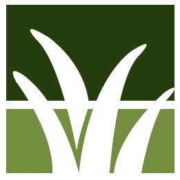 Santa Ana Lawn Clean Up
