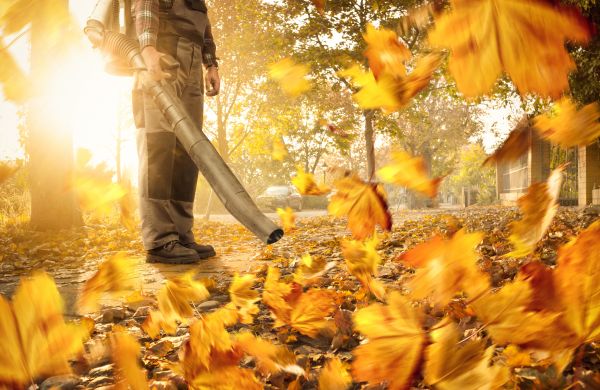 Leaf Blowing Service in Santa Ana