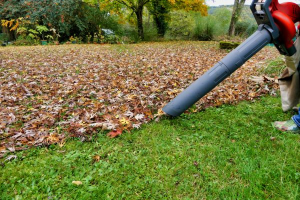 Leaf Vacuuming Service in Santa Ana