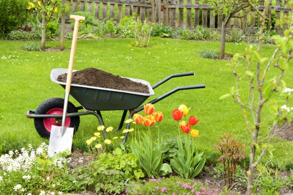Spring Yard Cleanup in Santa Ana