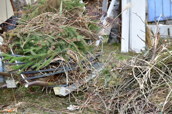 Yard Waste Removal Service in Santa Ana