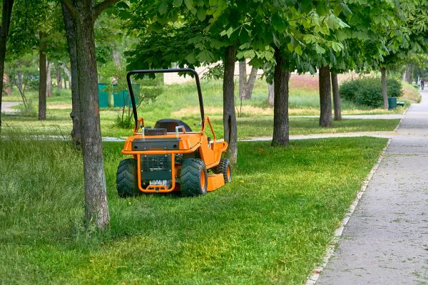Landscaping Cleanup Service in Santa Ana