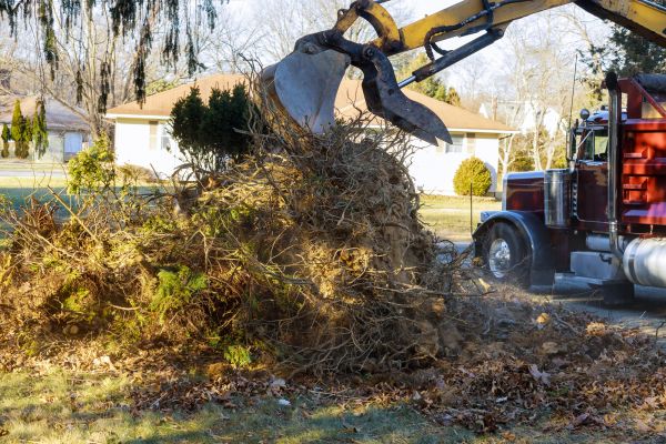 Storm Debris Removal in Santa Ana