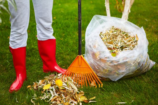 Leaf Disposal Service in Santa Ana