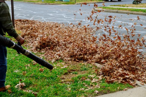 Garden Leaf Removal in Santa Ana