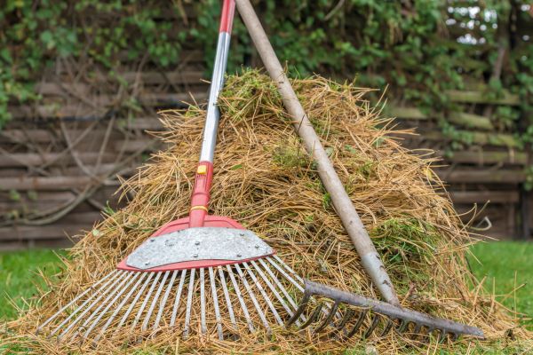 Pine Straw Clearing in Santa Ana