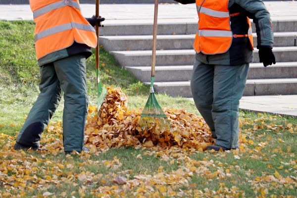 Cost of Leaf Hauling Service in Santa Ana