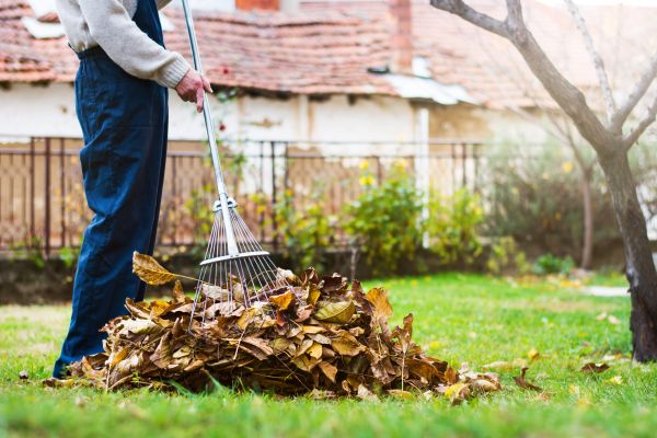 Spring Lawn Cleanup in Santa Ana