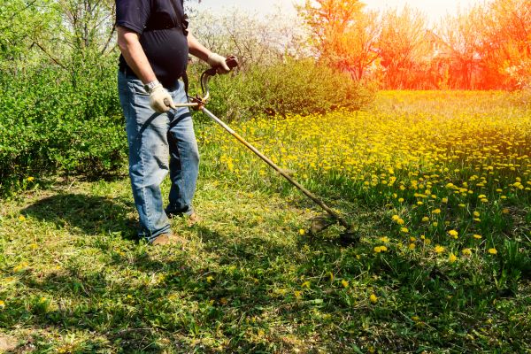 Cost of Yard Clearing Service in Santa Ana