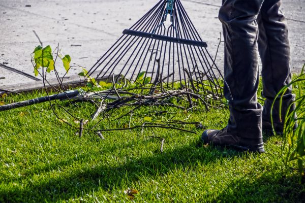 Yard Debris Cleanup in Santa Ana