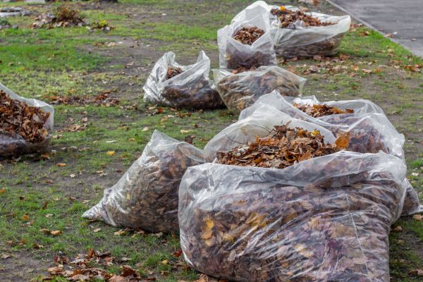 Leaf Pile Disposal in Santa Ana