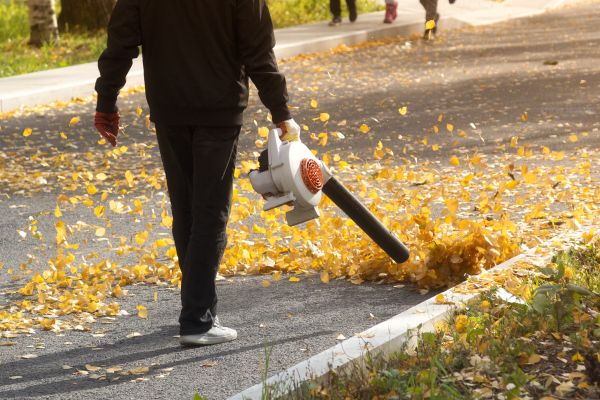Commercial Leaf Removal in Santa Ana