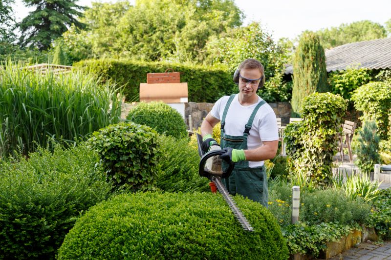Trimming overgrown bushes